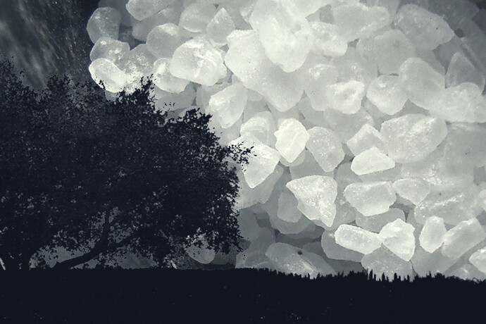 Korrel zout | Hervormd Nunspeet